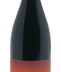 Vin de France Rouge Albore 2024