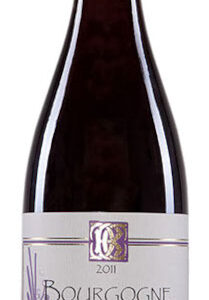 Bourgogne Rouge, Epineuil 'Les Champsoins' 2022