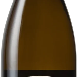 Bourgogne Aligoté 2023
