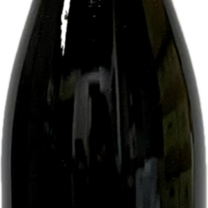 Savigny les Beaune 1e cru Aux Gravains 2021