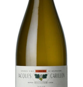 Puligny-Montrachet 1e Cru Les Champs Canet 2023