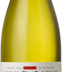 Bienvenues-Bâtard-Montrachet Grand Cru 2023
