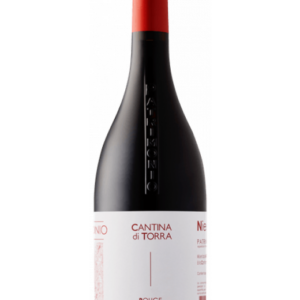 Patrimonio Rouge 2024