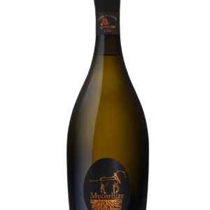 Champagne de Sousa Grand Cru Mycorhize