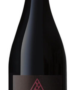 Sancerre Rouge Anthocayne 2022